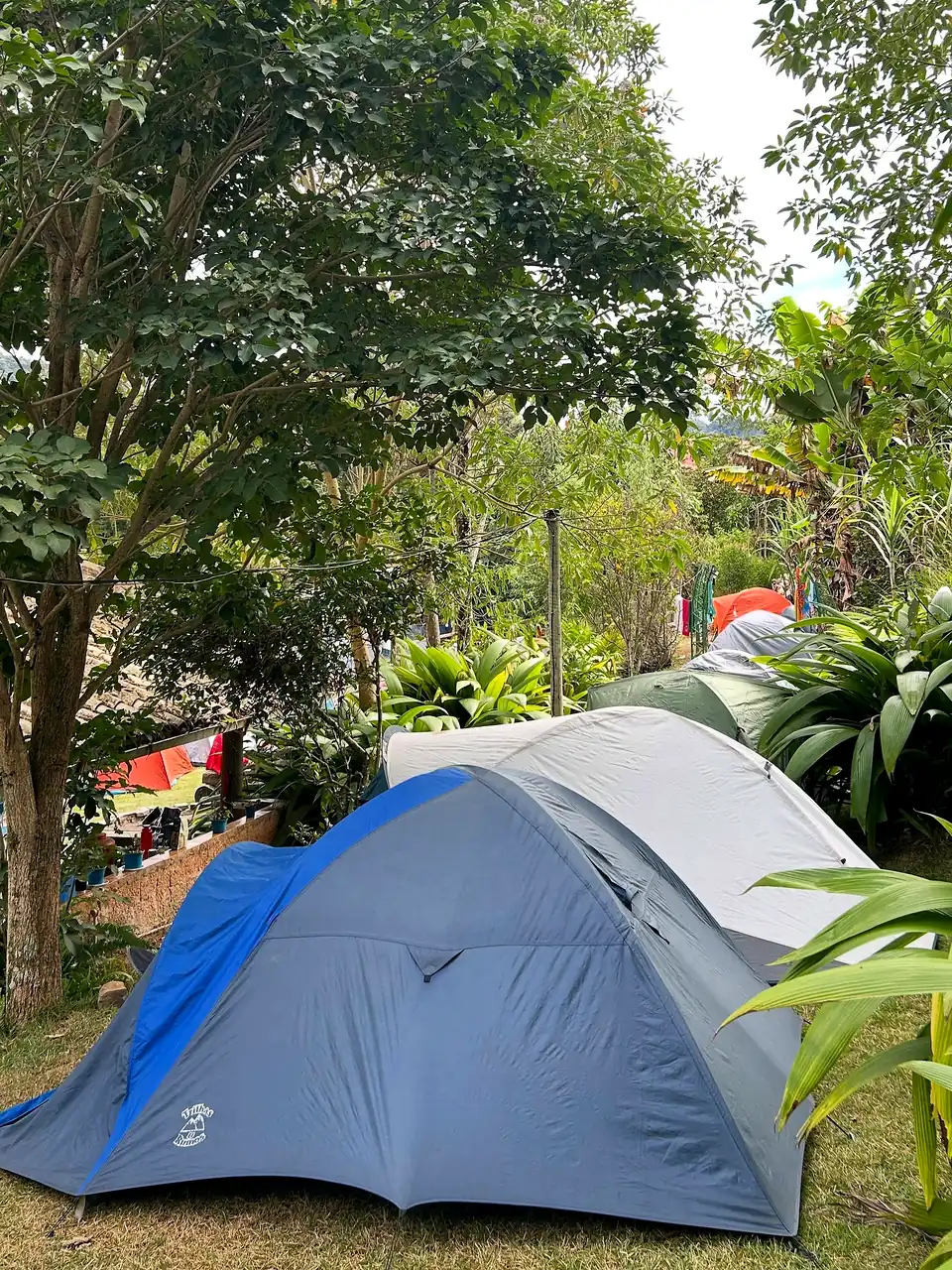 Barraca azul montada entre árvores e plantas no camping