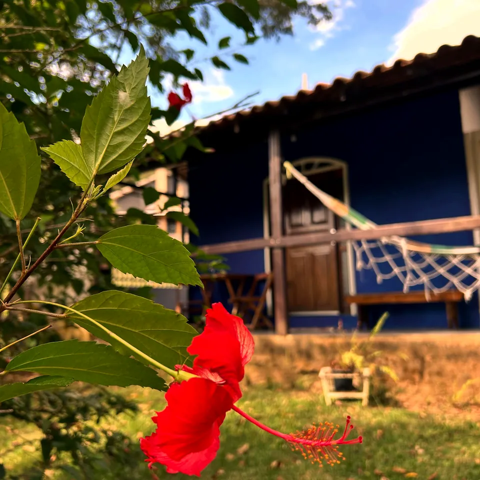 Hibisco vermelho em primeiro plano e o chalé azul com rede na varanda